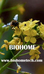 BIOHOME