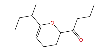 1-(6-(1-Methyl-propyl)-3,4-dihydro-2H-pyran-2-yl)-butanone