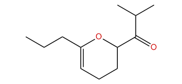 1-(6-Propyl-3,4-dihydro-2H-pyran-2-yl)-isobutanone