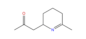 1-(6-Methyl-2,3,4,5-tetrahydropyridin-2-yl)-propan-2-one