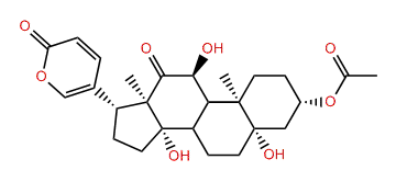 1-oxo-12-O-Acetyl-3beta-dihydroxy-5beta,11alpha-bufaline