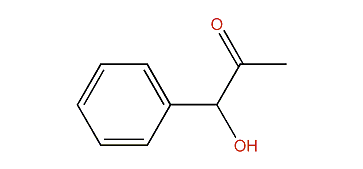 1-Phenyl-1-hydroxypropan-2-one