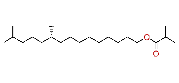 (10S)-10,14-Dimethylpentadecyl isobutyrate
