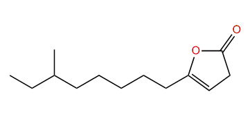 10-Methyl-3-dodecen-4-olide