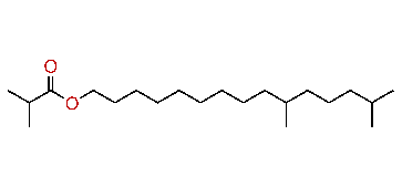 10,14-Dimethylpentadecyl isobutyrate