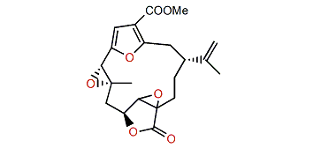 11,12-Epoxypukalide