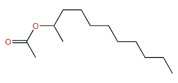 Undecan-2-yl acetate