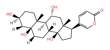 11-alpha-Hydroxytelocinobufagin