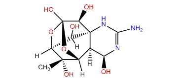 11-Deoxytetrodotoxin