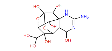 11-Oxotetrodotoxin