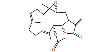13-Acetoxysarcocrassolide