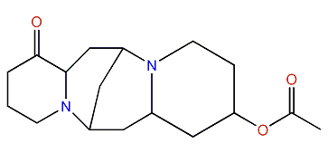 13-Acetyloxylupanine