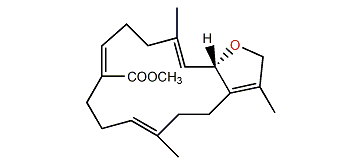 13-Dehydroxysarcoglaucol