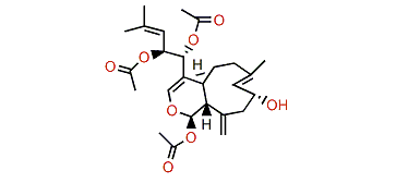 13-Epi-9-deacetylxenicin
