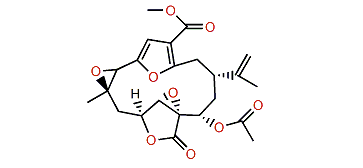 13a-Acetoxy-11b,12b-epoxypukalide
