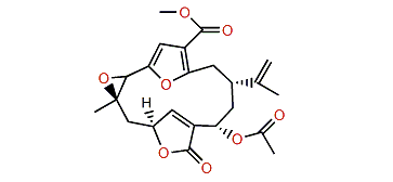 13a-Acetoxypukalide