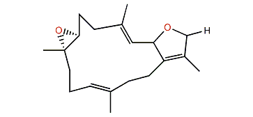 16-Deoxosarcophine