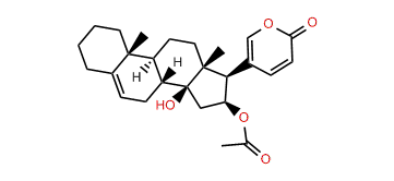 (16beta)-16-(Acetyloxy)-14-hydroxyl-bufa-5,20,22-trienolide