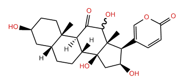 16beta-Hydroxyl-pseudobufarenogin
