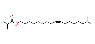 (Z)-16-Methyl-9-heptadecenyl isobutyrate