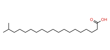 18-Methylnonadecanoic acid