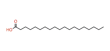 Nonadecanoic acid