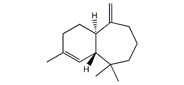 (1R,7R)-2,2,10-Trimethyl-6-methylene-bicyclo[5.4.0]undec-10-ene