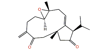 (1R*,7R*,8S*,12R*)-Dolabella-4(16),10-diene-7,8-epoxy-3,13-dione