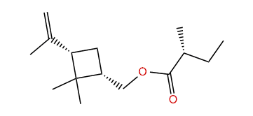 (R)-((1S,3S)-2,2-Dimethyl-3-(prop-1-en-2-yl)-cyclobutyl)-methyl 2-methylbutanoate