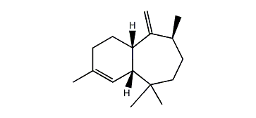 (1S,3S,7R)-3-methyl-alpha-himachalene