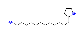 2-(12-Aminotridecyl)-pyrrolidine