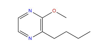 2-Methoxy-3-butylpyrazine