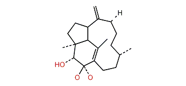 2-Oxotrinervita-1(15),8(19)-dien-3alpha-ol