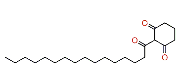 2-Palmitoyl-1,3-cyclohexanedione