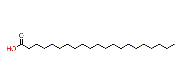 Heneicosanoic acid