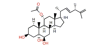 (22E,24S)-11a-Acetoxy-ergost-22,25-dien-3b,5a,6b-triol