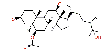 (24S)-Ergostane-6-acetate-3b,6b,12b,25-tetraol