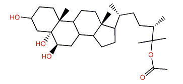 (24S)-24-Methylcholestane-3b,5a,6b,25-tetrol-25-monoacetate