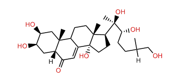 25S-Inokosterone