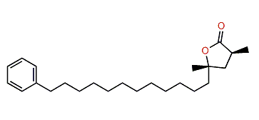(2R,4R)-Dihydro-3,5-dimethyl-5-(12-phenyldodecyl)-2(3H)-furanone