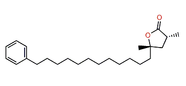(2S,4R)-Dihydro-3,5-dimethyl-5-(12-phenyldodecyl)-2(3H)-furanone