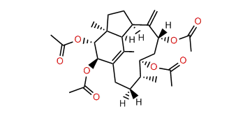 2beta,3alpha,9alpha,11alpha-Tetraacetoxy-1(15),8(19)-trinervitadiene