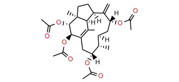 2beta,3alpha,9alpha,13alpha-Tetraacetoxy-1(15),8(19)-trinervitadiene