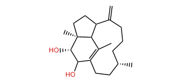 2beta,3alpha-Dihydroxy-1(15),8(19)-trinervitadiene
