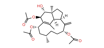 2beta,9alpha,14alpha-Triacetoxy-3alpha-hydroxy-1(15),8(19)-trinervitadiene