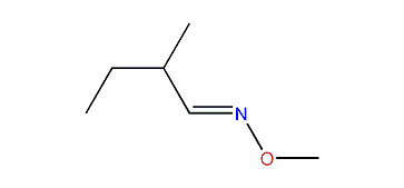 2-Methylbutyraldoxime-O-methylether