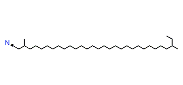 2,28-Dimethyltriacontyl cyanide