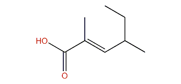 2,4-Dimethyl-2-hexenoic acid