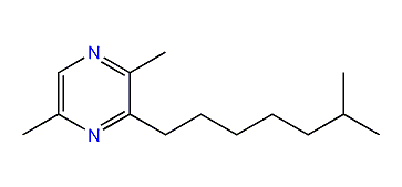 2,5-Dimethyl-3-(6-methylheptyl)-pyrazine