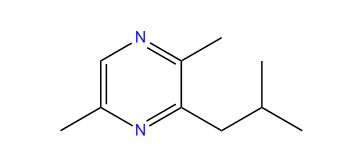 2,5-Dimethyl-3-isobutylpyrazine